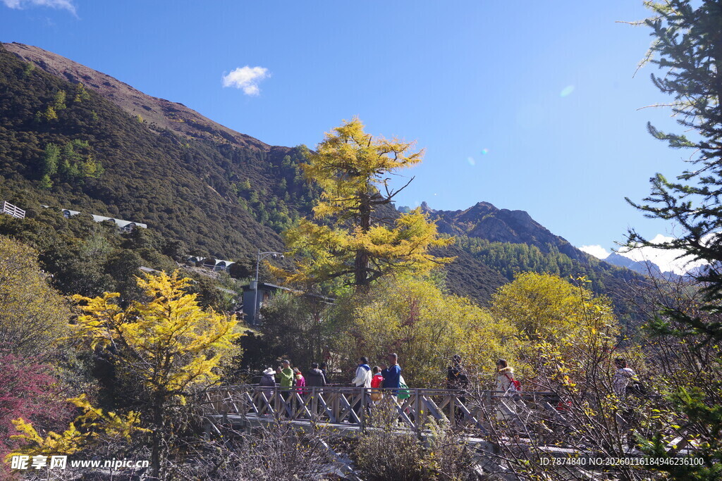 山间赏景人群与多彩林木