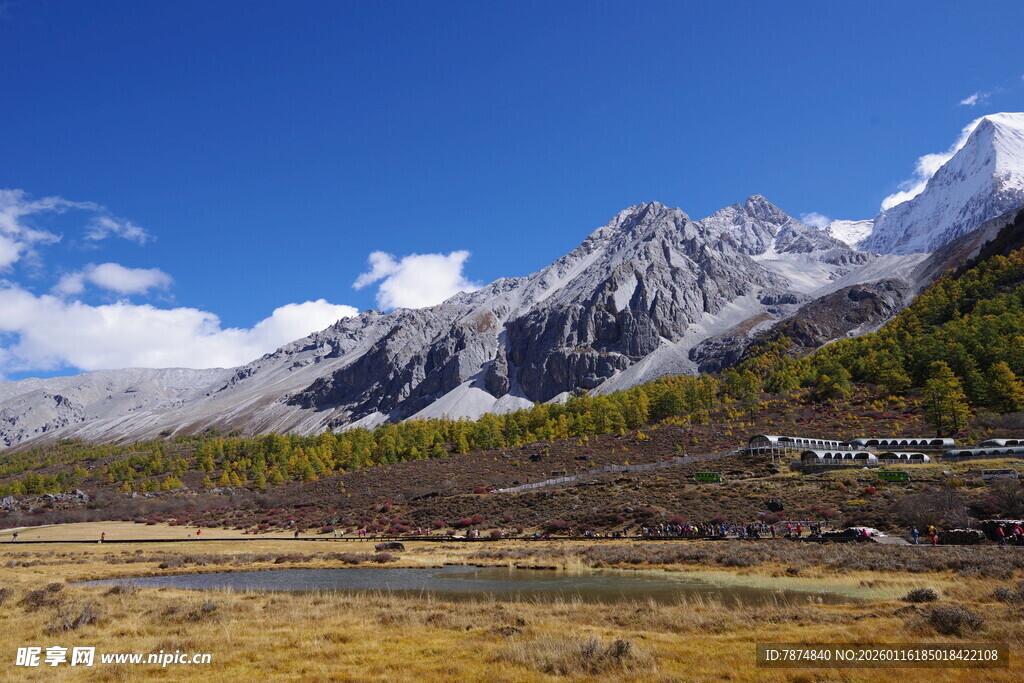 雪山下的广袤原野风光