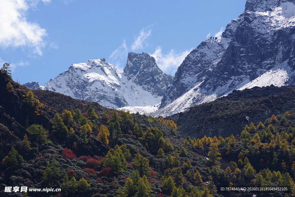 壮丽雪山下的多彩山林