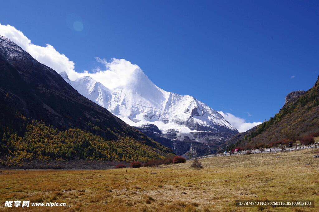 雪山下的广袤原野风光