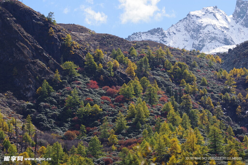 秋日山间彩林与远处雪山