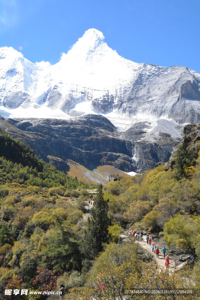 雪山下的翠绿山谷风光