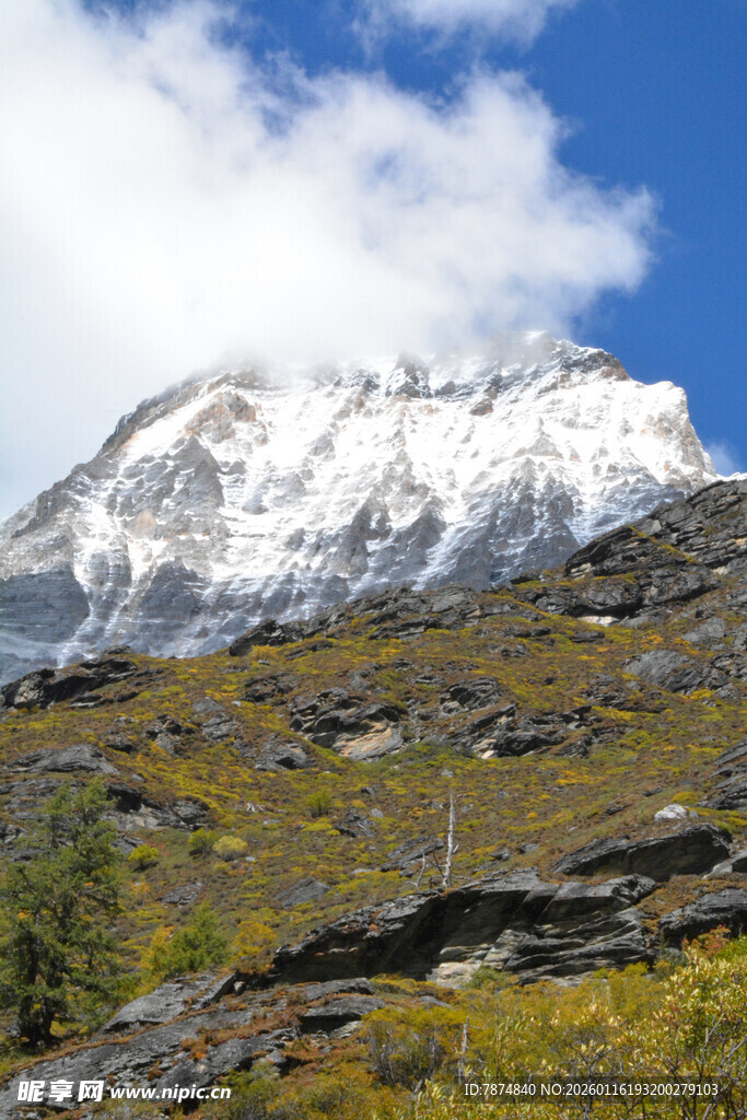 雪山下的多彩山坡景观