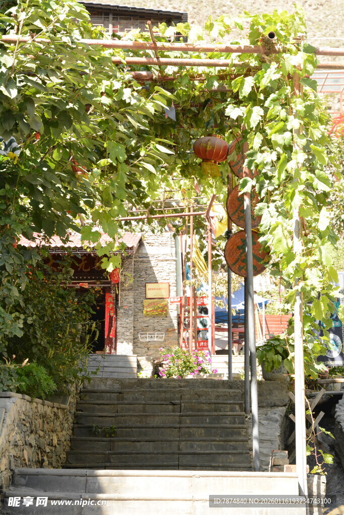 葡萄藤下的静谧石阶小院