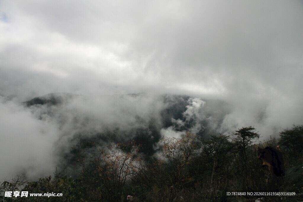 云雾缭绕的山间美景