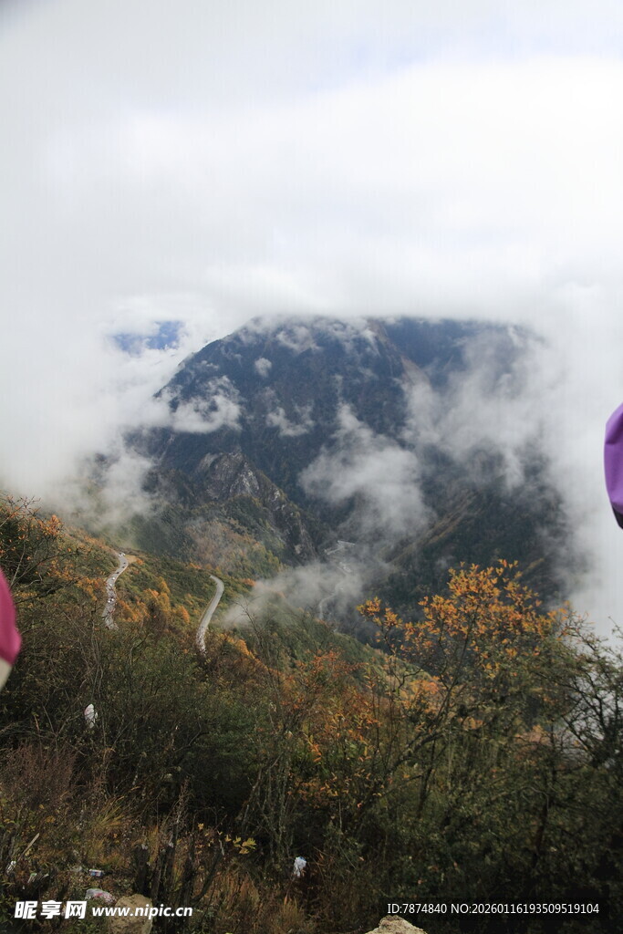 云雾缭绕的山间秋景
