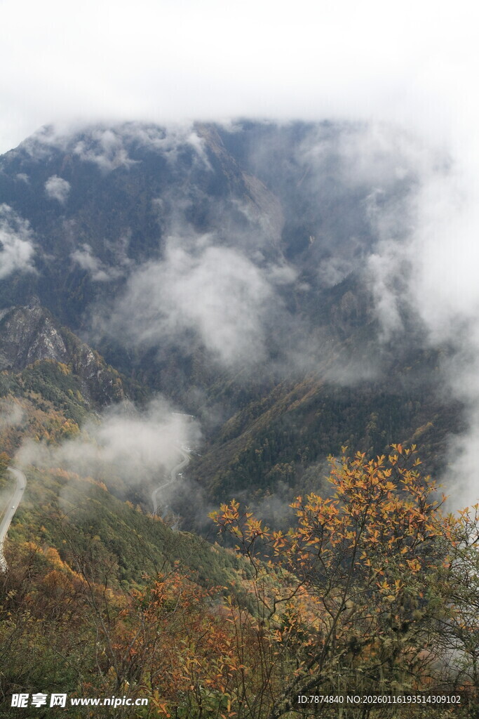 云雾缭绕的山间秋景
