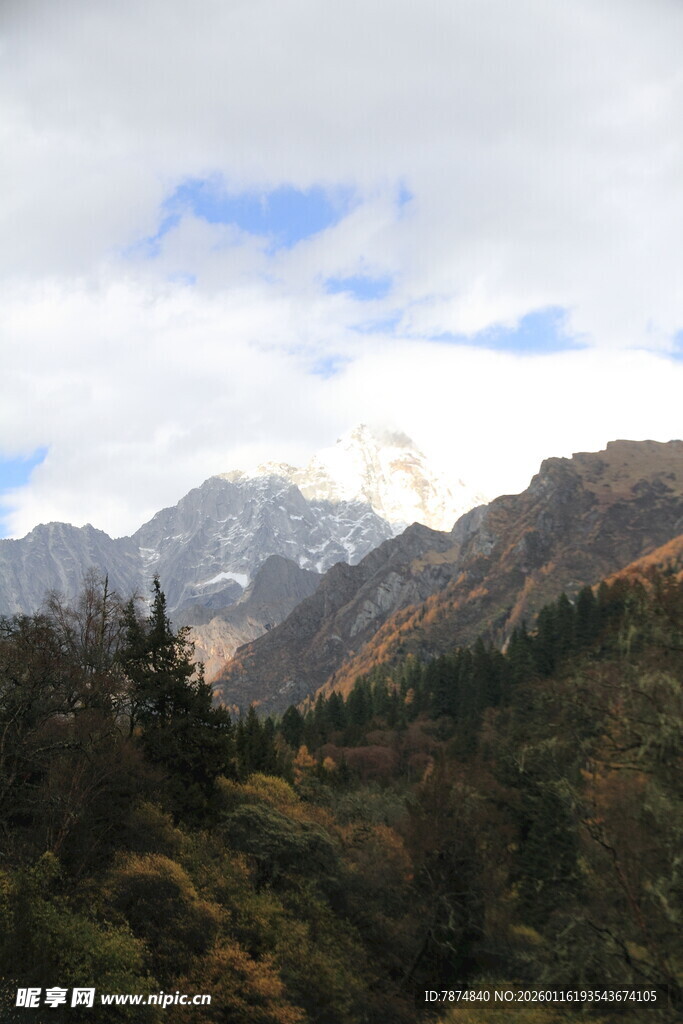 壮丽山景与多彩植被