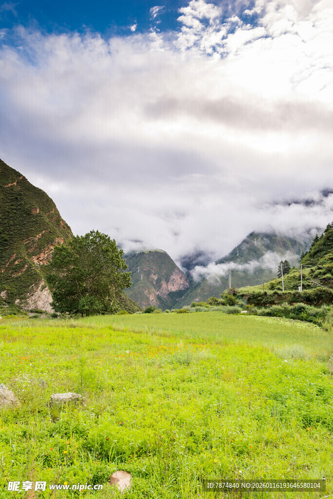 绿野青山间的自然美景