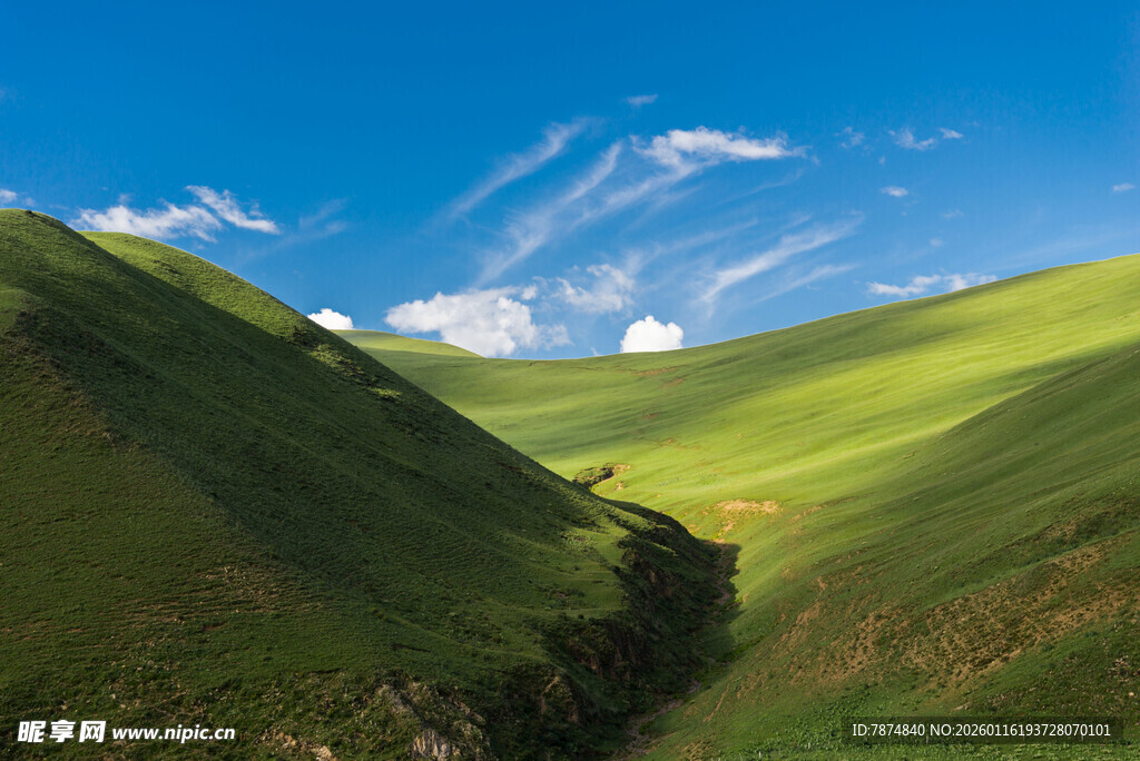 青山绿野间的悠然景致