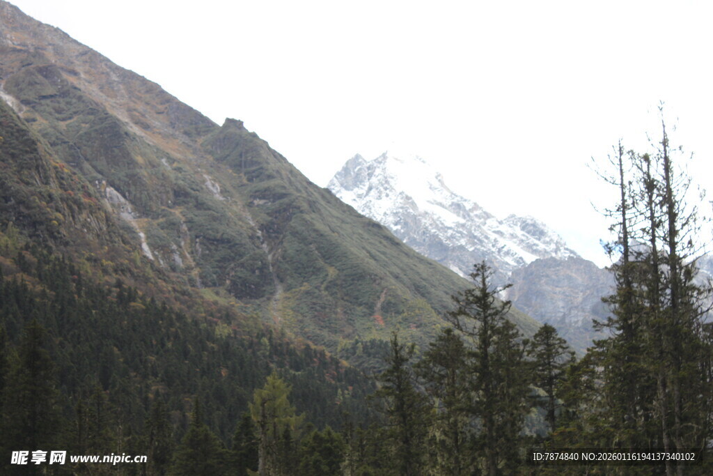 山林间的巍峨雪山景色