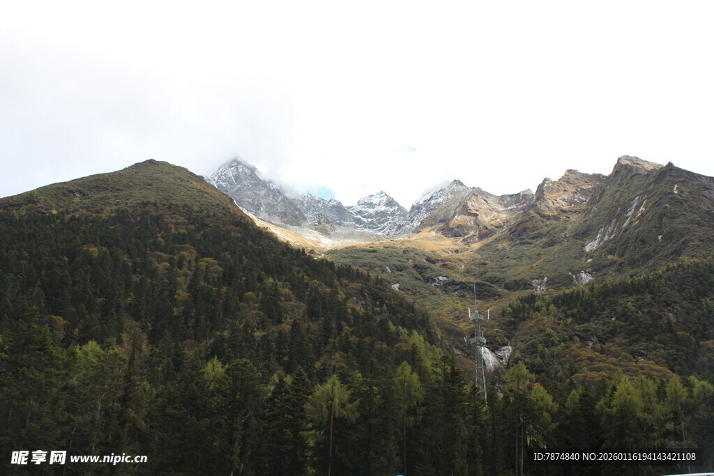 山间美景 葱郁山林与远山