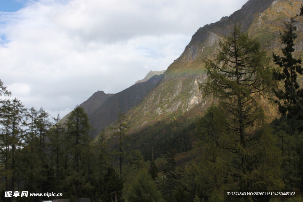 山间葱郁林木与巍峨山峰