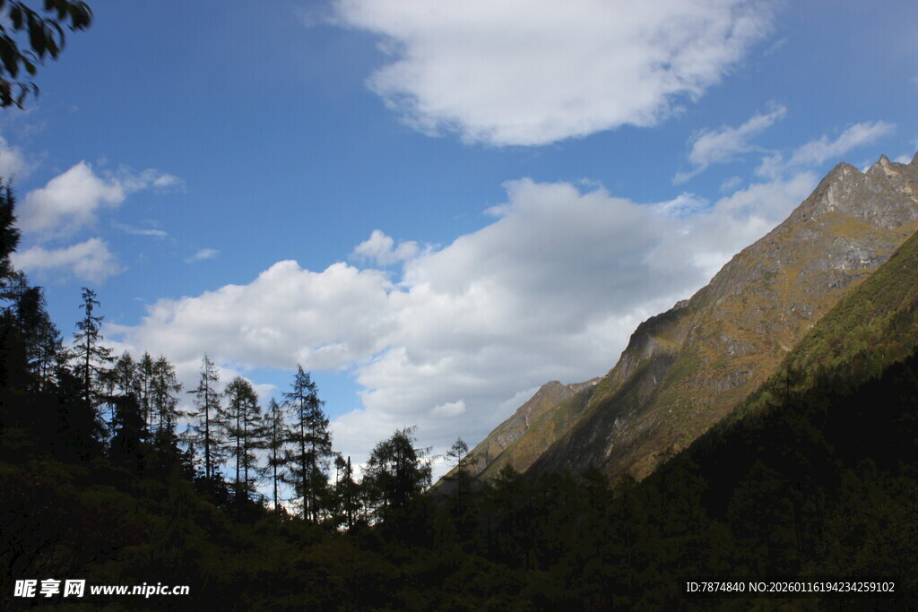 山间蓝天绿树美景