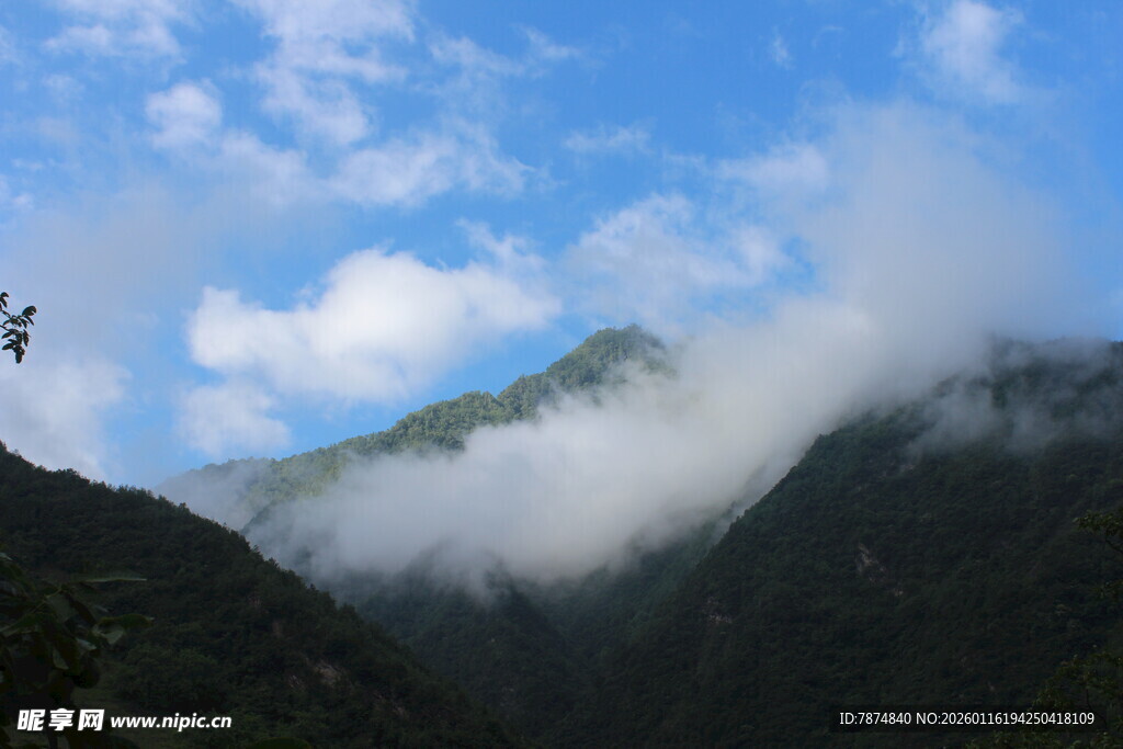 云雾缭绕的青山美景