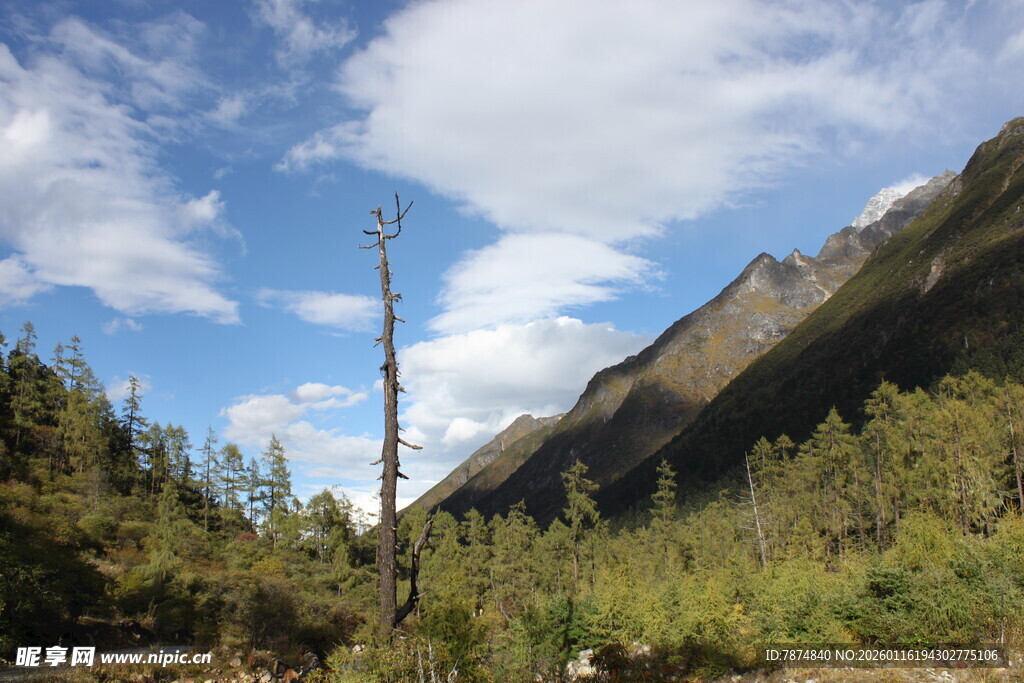 山间美景 蓝天白云绿树
