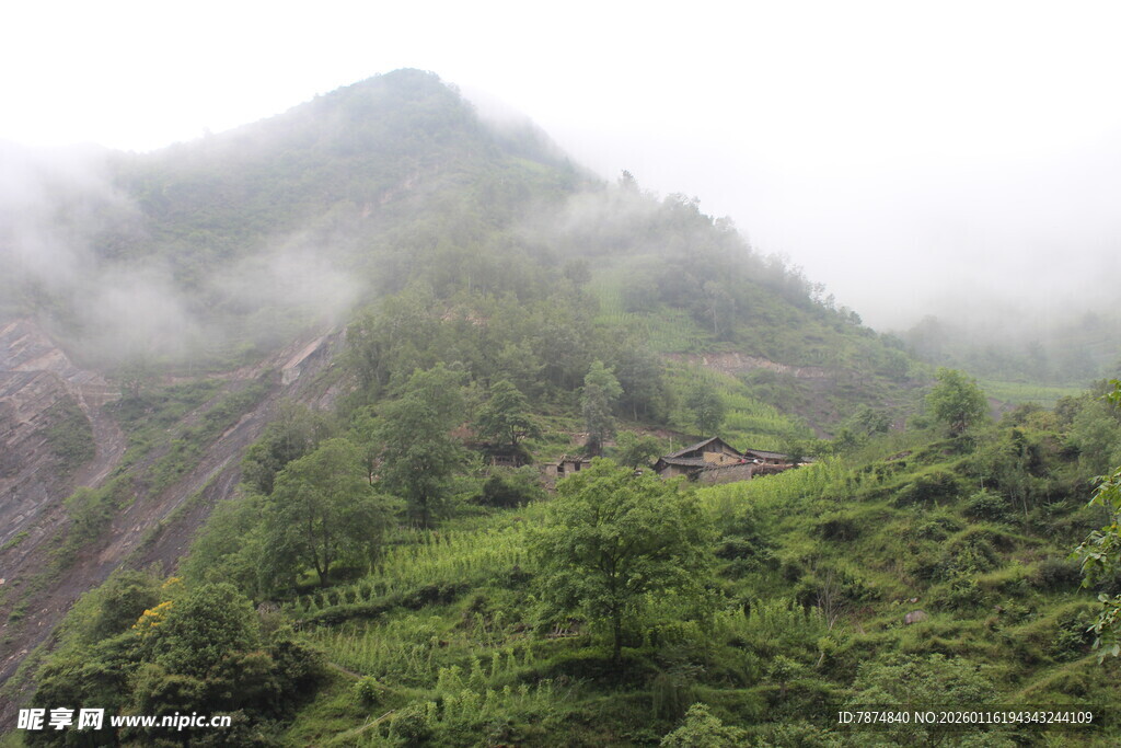 云雾缭绕的葱郁山峰