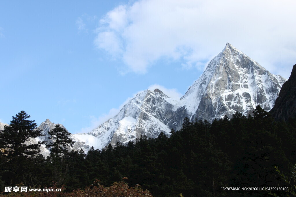 雪山巍峨 森林相伴