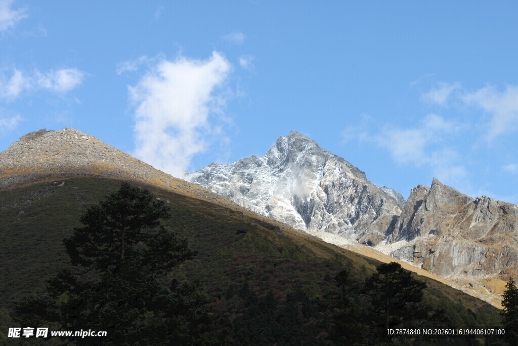 雪山与山林的壮美风光