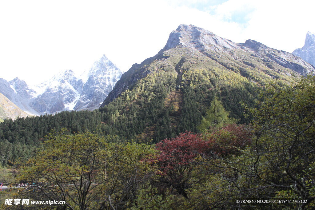 秀丽山峦间的多彩植被