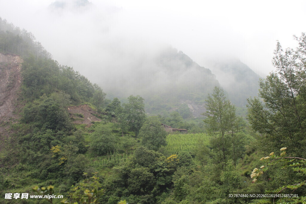 山间云雾缭绕的翠绿景致
