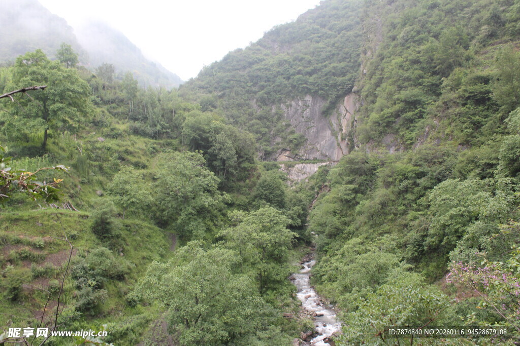 山间翠绿溪流景观