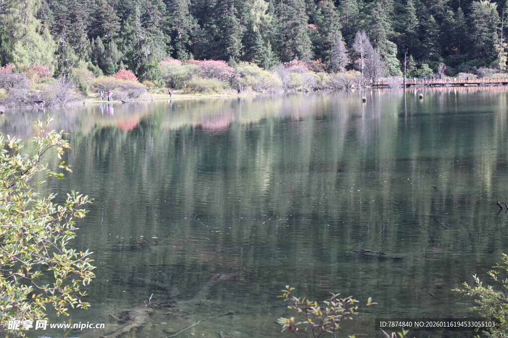 宁静湖畔的自然美景