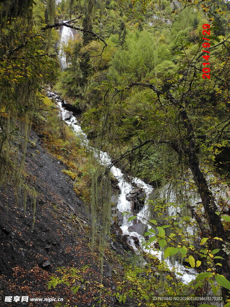 山间瀑布穿林而过