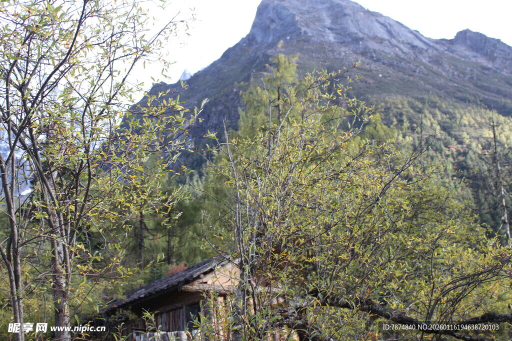 山林中的古朴小屋