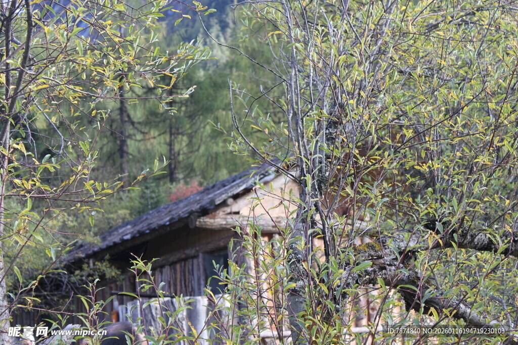 林间古朴小屋