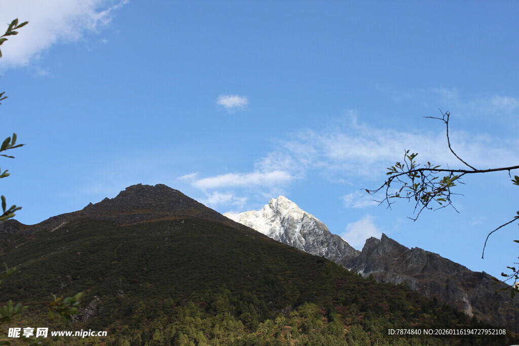 雪山远景 山林相伴