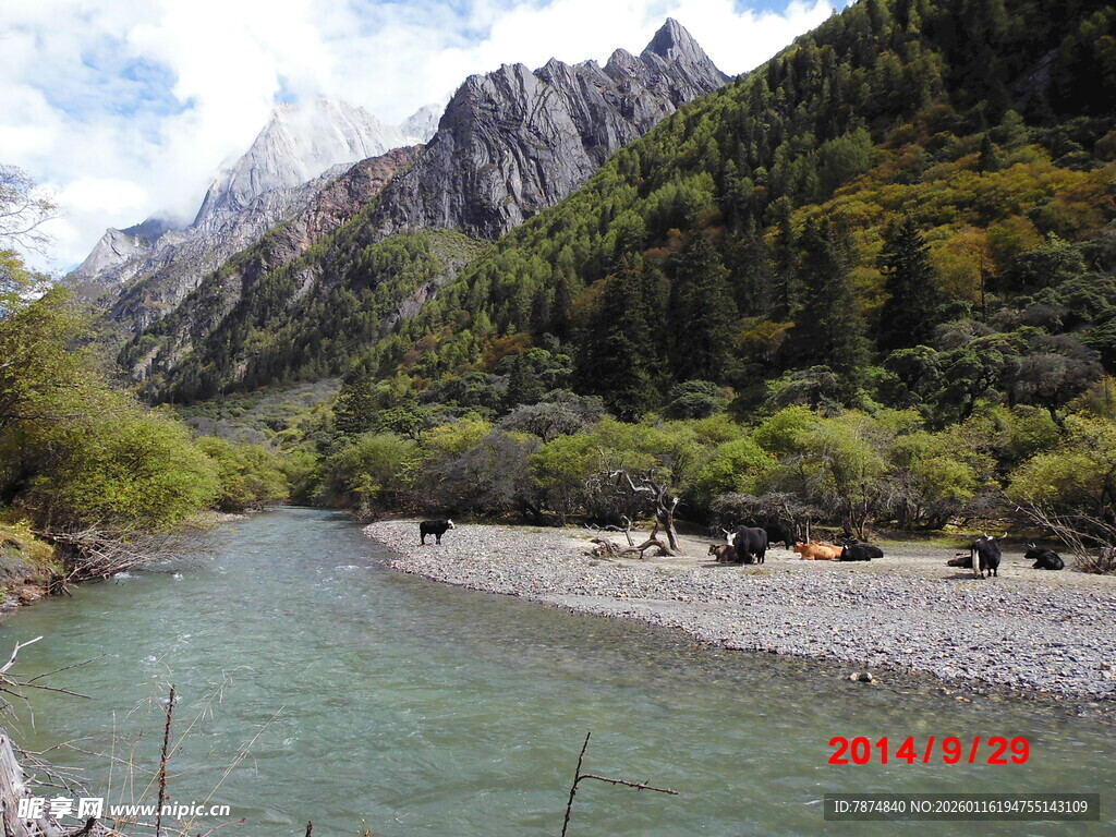 山间清澈河流与葱郁山林