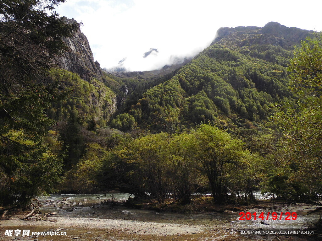 山间溪流旁的葱郁景致