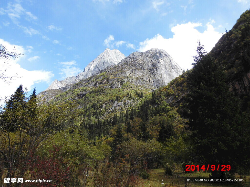 山间美景 巍峨雪山与葱郁林
