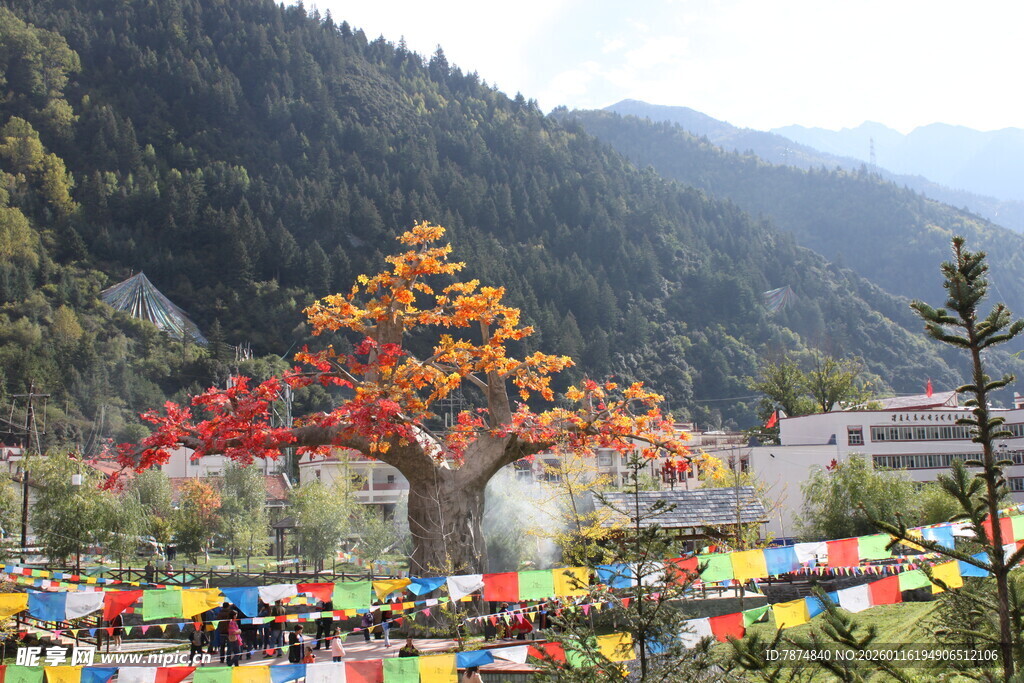 山间彩树与经幡美景