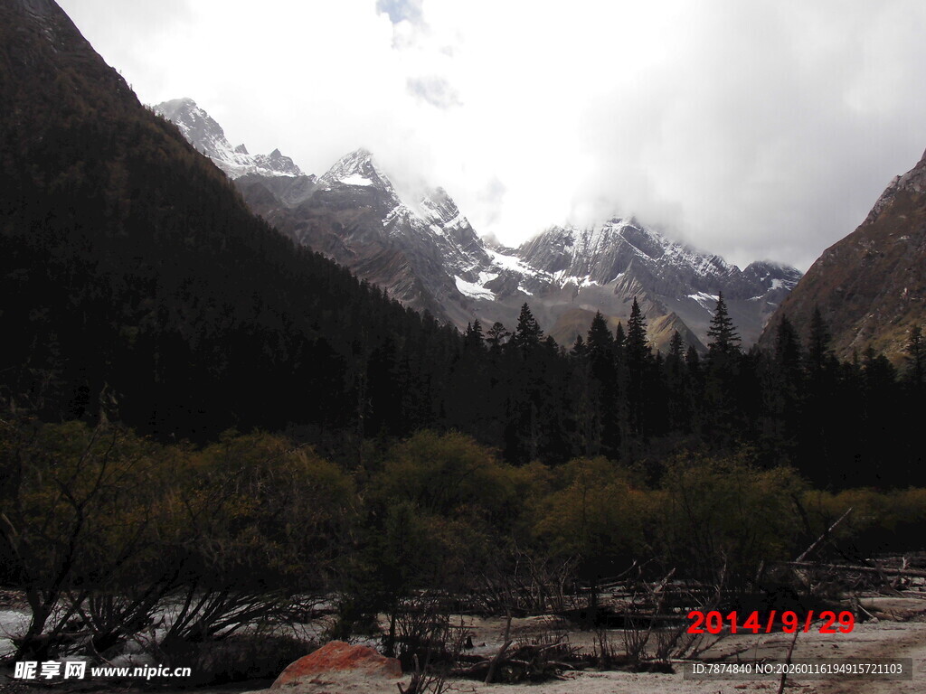 雪山下的森林河谷景观