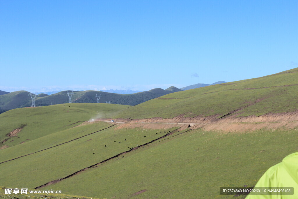 绿色山坡美景