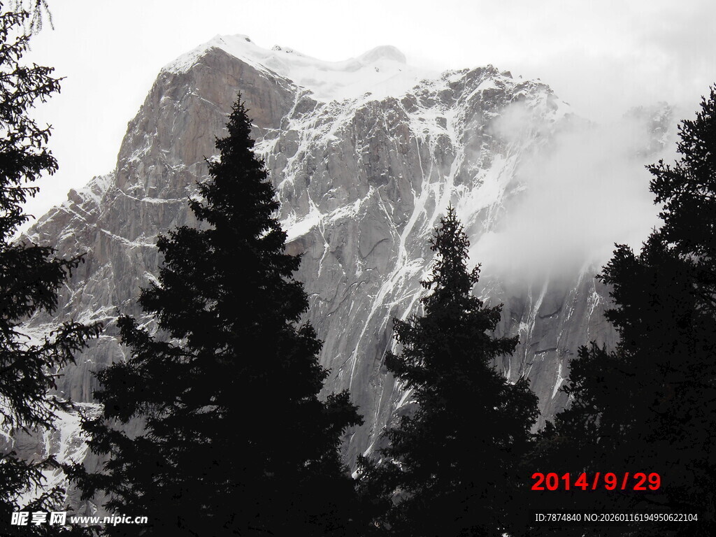 云雾缭绕的山林美景