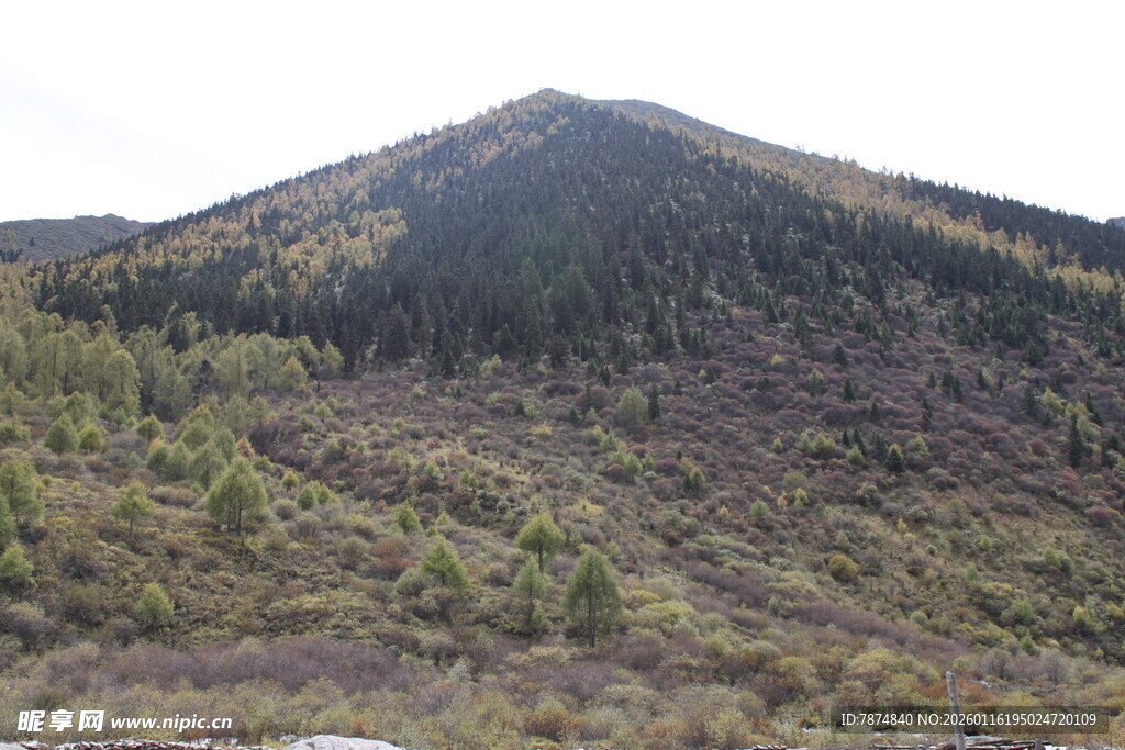 青山葱郁的秀丽山峰