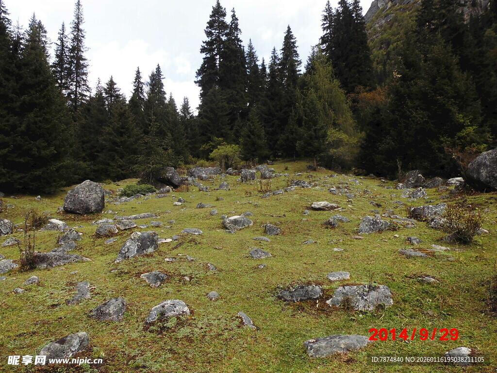 山林间的草地与散落石块