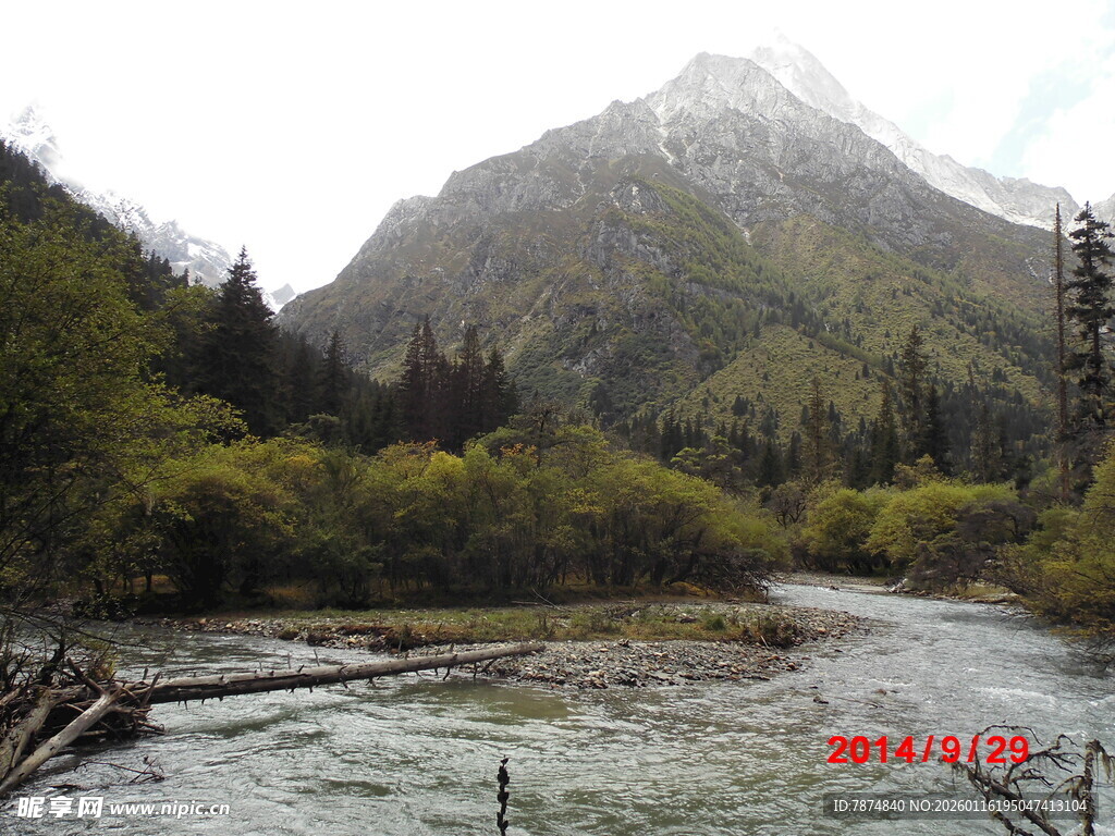 山间溪流旁的秀丽山林景色