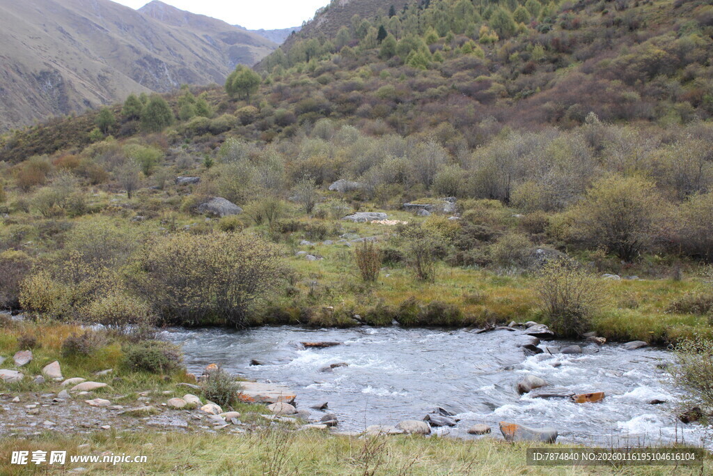 山间溪流 自然野趣之景