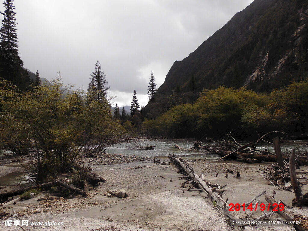 山间溪流与枯木景观