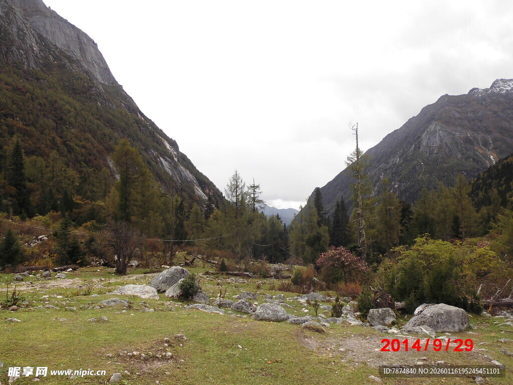山间草地风景