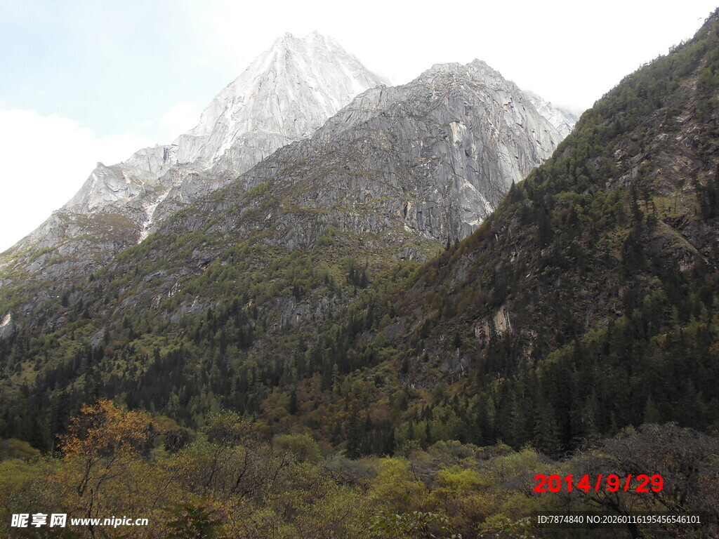 巍峨雪山下的葱郁山林