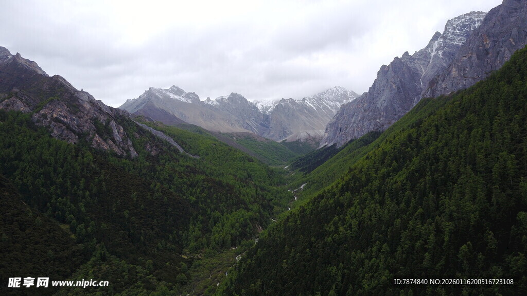 山间葱郁山谷风景