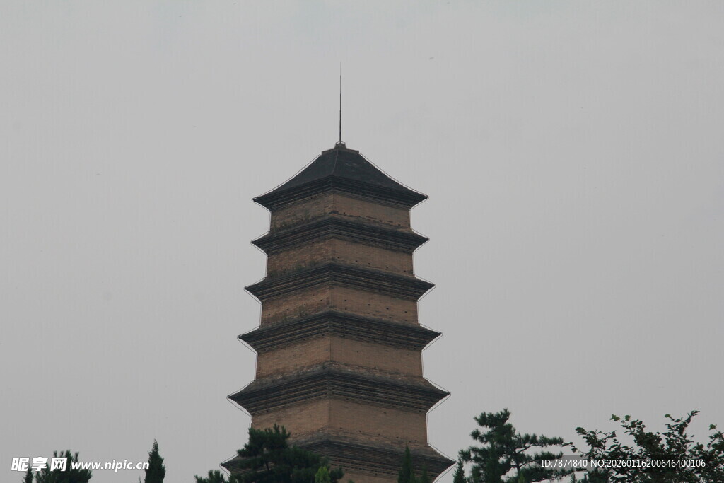 古朴多层塔 矗立绿树间