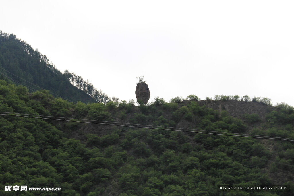山巅孤树