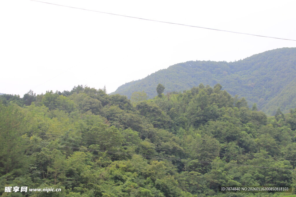 青山绿树自然风光美景