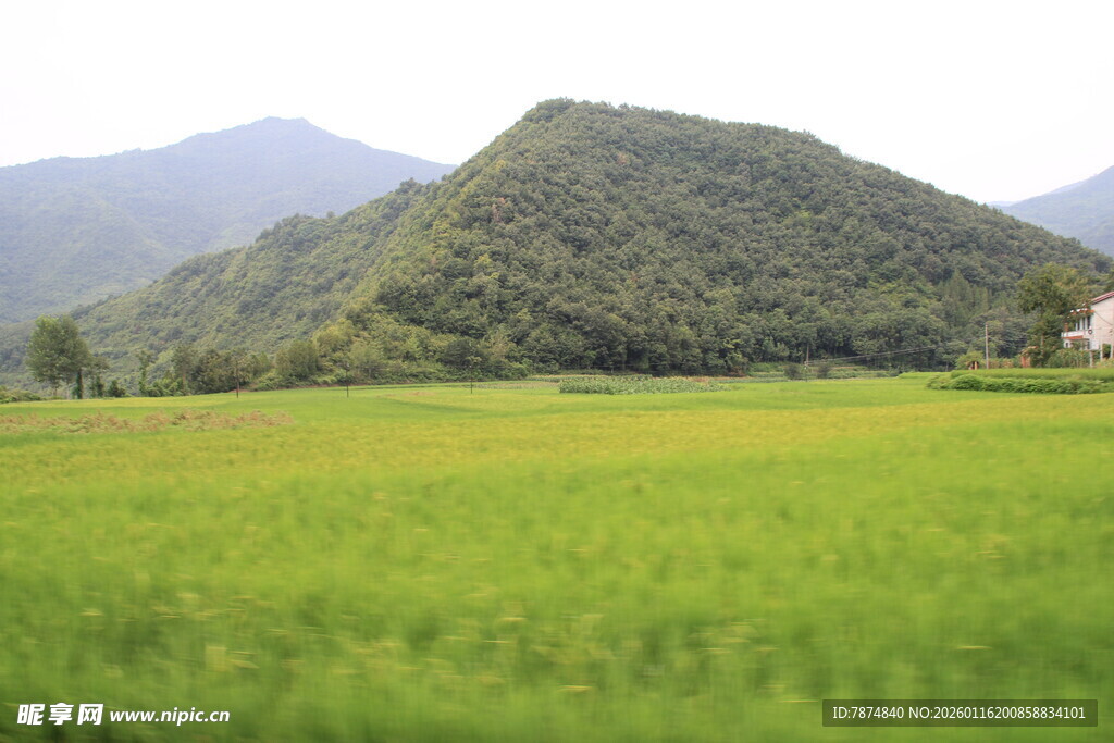绿野青山间的田园风光